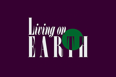 Professor Freeman joins Living on Earth® host Bobby Bascomb for an in-depth examination of President Biden’s climate policy