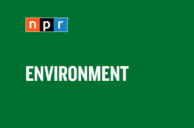 NPR’s David Green talks to Professor Freeman about the expectation that the administration will revoke California’s ability to set tighter environmental rules